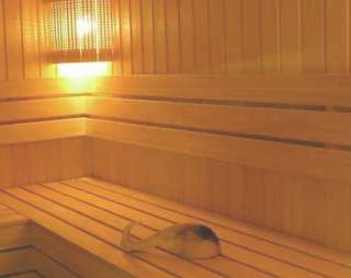 Сауна Сауна SVstroi в Вязниках